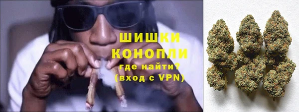 стафф Бородино