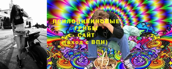 ПСИЛОЦИБИНОВЫЕ ГРИБЫ Бугульма