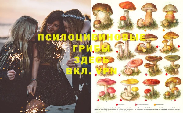 стафф Бородино